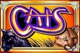 Cats machine a sous