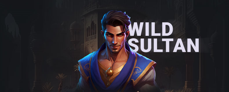 méthodes de paiement sur wild sultan casino